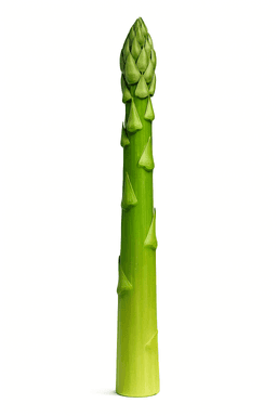 Asperge
