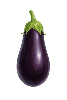 Aubergine