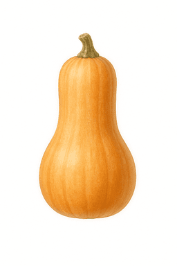 Butternut