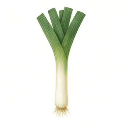 Poireau